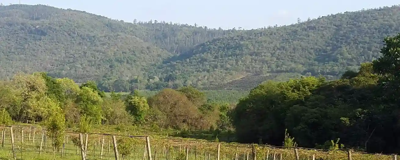 Panoramic Route and Kruger Experience-1